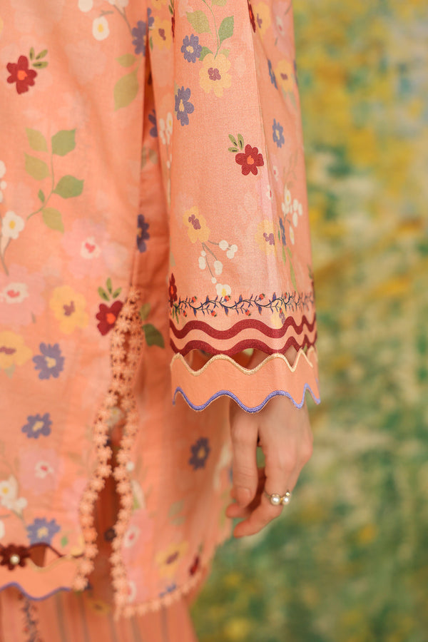 Peach Meadow