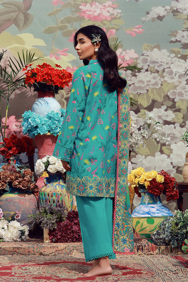 Teal Meadow