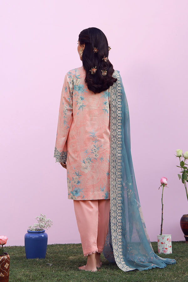 Blush Azure
