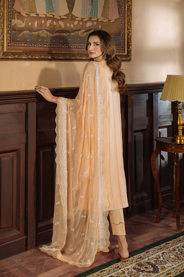 Apricot Glow - RTW
