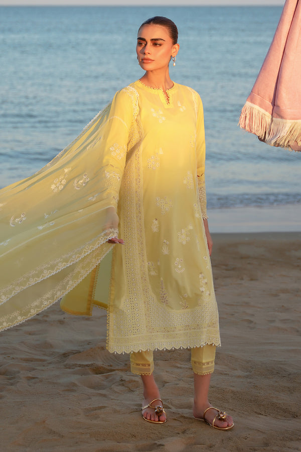 Chikankari 3 Piece
