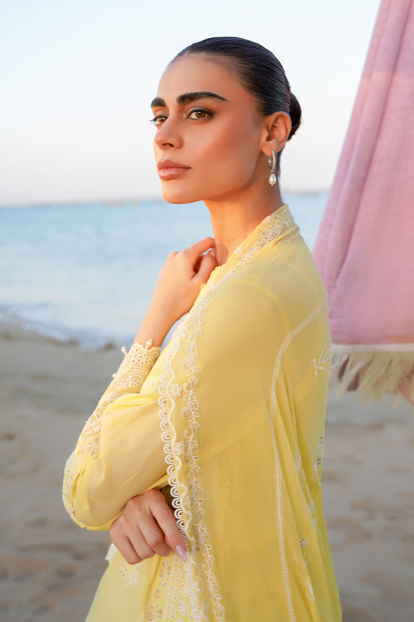 Chikankari 3 Piece