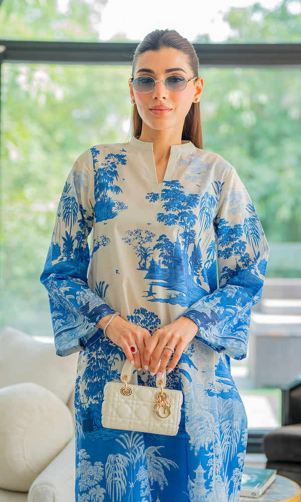 Vignettes in Blue