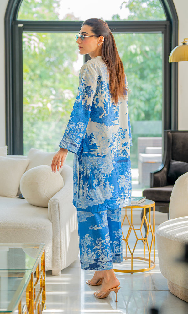 Vignettes in Blue