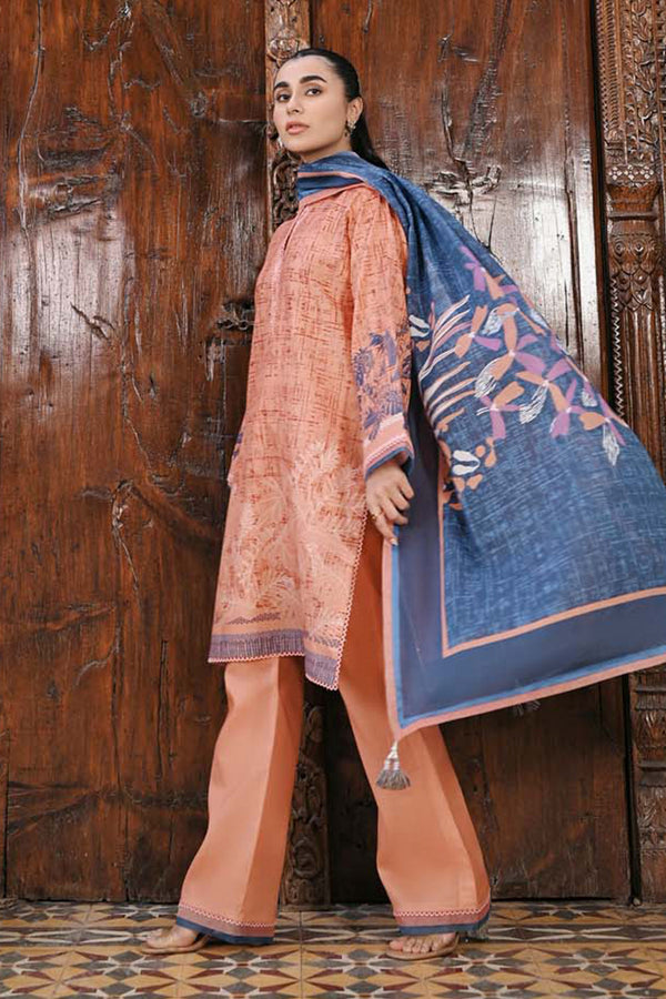 Paste Printed Lawn 3 Piece