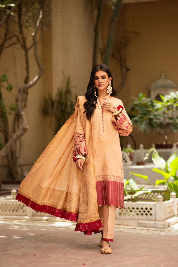 Cotton Jacquard - 3 Piece